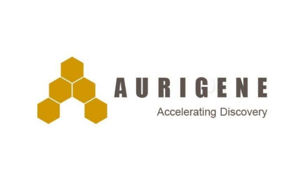 Curis Amends its Existing Collaboration with Aurigene for the Development and Commercialization of CA-170