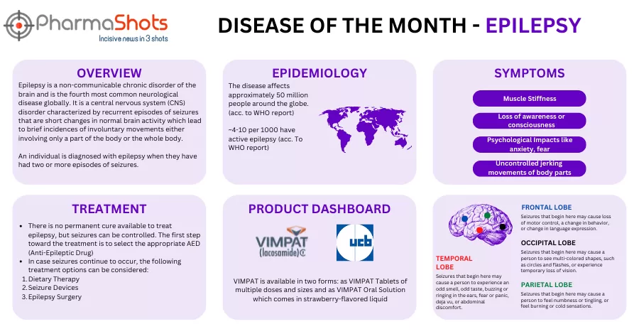 Disease of the Month: Epilepsy