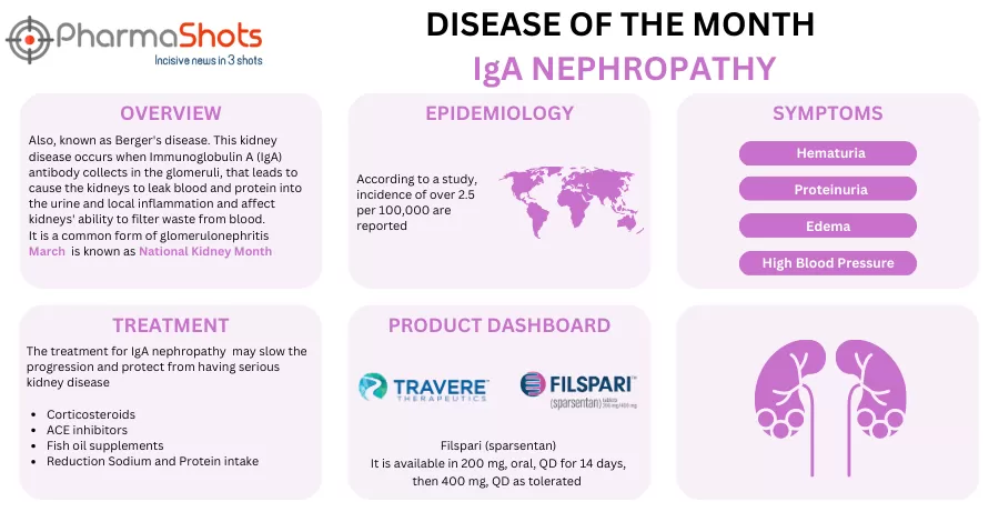 Disease of the Month: IgA Nephropathy