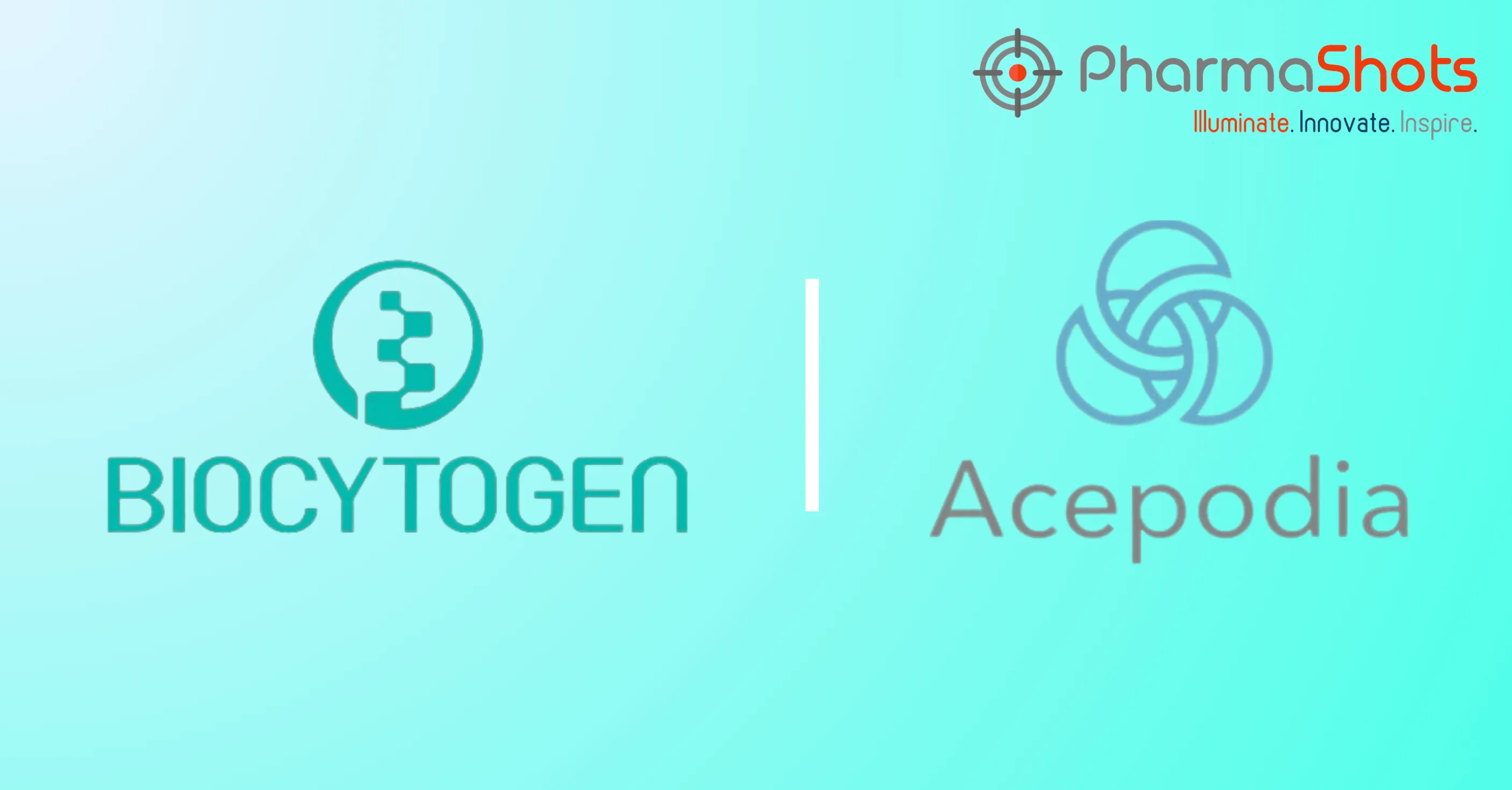 Biocytogen Partners with Acepodia to Develop Bispecific Antibody and Dual-Payload ADCs to Treat Complex Tumors